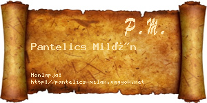 Pantelics Milán névjegykártya